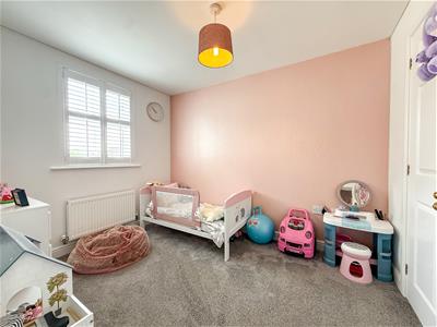 Picture 20